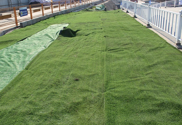 02 现场裸土全笼罩.JPG