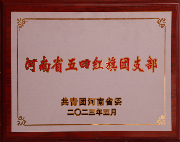 河南省五四红旗团支部声誉奖牌.png